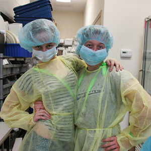 Meet your Posher, Madeline